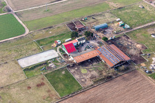 Pfalzblick Stud in Hochdorf-Assenheim in the state Rhineland-Palatinate, Germany