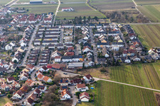 Aerial view of Ellerstadt in the state Rhineland-Palatinate, Germany