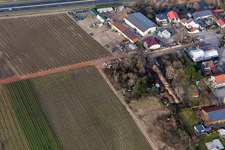 Aerial view of In der Nauroth Industrial Estate. Car Tire Discount Lid in Ellerstadt in the state Rhineland-Palatinate, Germany
