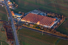 Aerial view of METALWORKS in the district Mußbach in Neustadt an der Weinstraße in the state Rhineland-Palatinate, Germany
