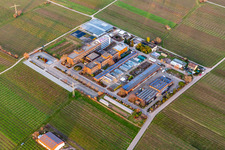 Aerial view of RLP Agroscience GmbH, DLR Service Center for Rural Areas Rheinpfalz in the district Mußbach in Neustadt an der Weinstraße in the state Rhineland-Palatinate, Germany