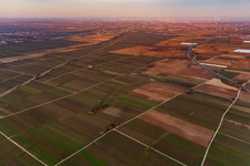 Mecke-INFO in the district Mußbach in Neustadt an der Weinstraße in the state Rhineland-Palatinate, Germany