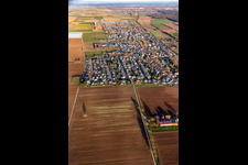 District Niederlustadt in Lustadt in the state Rhineland-Palatinate, Germany from the drone perspective