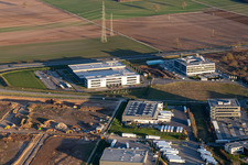 Eizo, MTS Group, TRANSAC International Freight Forwarding Company Ltd. in Rülzheim in the state Rhineland-Palatinate, Germany