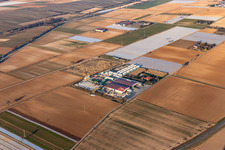 Hortulanushof, Stubenbordt GmbH & Co. KG / Dieter Stubenbordt Vegetable Cultivation in Zeiskam in the state Rhineland-Palatinate, Germany
