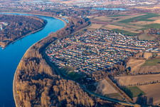 Aerial view of View of the town on the Rhine from the west in the district Rheinhausen in Oberhausen-Rheinhausen in the state Baden-Wuerttemberg, Germany