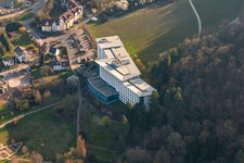 Edith Stein Specialist Clinic for Neurology in Bad Bergzabern in the state Rhineland-Palatinate, Germany