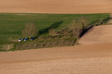 The smallest vineyard in Alsace in Niederlauterbach in the state Bas-Rhin, France