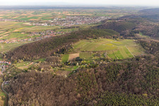 Oblique view of Haardtrand-Wolfsteig in Pleisweiler-Oberhofen in the state Rhineland-Palatinate, Germany