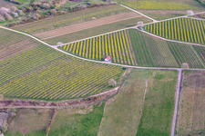 Haardtrand-Wolfsteig in Pleisweiler-Oberhofen in the state Rhineland-Palatinate, Germany from above