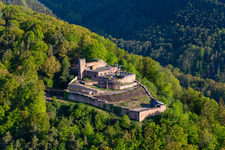 Drone recording of Rietburg Castle Ruins in Rhodt unter Rietburg in the state Rhineland-Palatinate, Germany