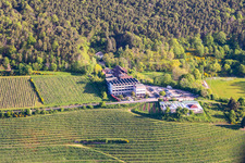 Hotel Haus am Weinberg in the district SaintMartin in Sankt Martin in the state Rhineland-Palatinate, Germany