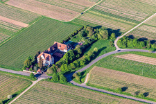 Villa between vineyards on Edenkobener Straße in Edesheim in the state Rhineland-Palatinate, Germany