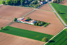 Aerial photograpy of Bioland Winery Neuspergerhof in Rohrbach in the state Rhineland-Palatinate, Germany