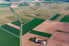 Bioland Winery Neuspergerhof in Rohrbach in the state Rhineland-Palatinate, Germany out of the air
