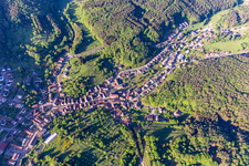 Schwanheim in the state Rhineland-Palatinate, Germany from above