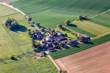 Aerial view of Wine & Sparkling Wine Däuwel in the district Deutschhof in Kapellen-Drusweiler in the state Rhineland-Palatinate, Germany