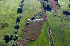 Aerial view of Biotope in Billigheimer Bruch in the district Mühlhofen in Billigheim-Ingenheim in the state Rhineland-Palatinate, Germany