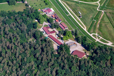 Hippodrome de la hardt Soc Races De Wissembourg in the district Altenstadt in Wissembourg in the state Bas-Rhin, France