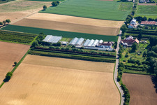 Aerial photograpy of Dieter Schmeißer Cut Green in Vollmersweiler in the state Rhineland-Palatinate, Germany