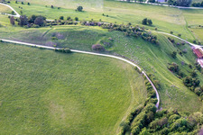 Flock of sheep in Hilzingen in the state Baden-Wuerttemberg, Germany