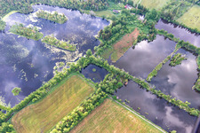 Moorseen Pfrungener-Burgweiler Ried in the district Pfrungen in Wilhelmsdorf in the state Baden-Wuerttemberg, Germany