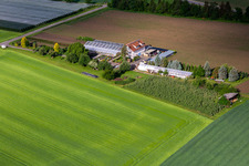 Hodapp Nursery and Floristry in the district Altheim in Frickingen in the state Baden-Wuerttemberg, Germany