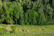 Horse paddock in the district Herdwangen in Herdwangen-Schönach in the state Baden-Wuerttemberg, Germany