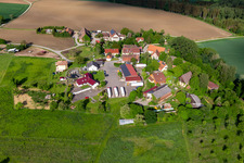 Schwende: Emil Höfler International Shipping GmbH & Co. KG in the district Herdwangen in Herdwangen-Schönach in the state Baden-Wuerttemberg, Germany