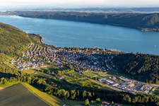 On Lake Überlingen in the district Ludwigshafen in Bodman-Ludwigshafen in the state Baden-Wuerttemberg, Germany