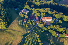 Aerial view of Salem International College - Spetzgart Castle in Überlingen in the state Baden-Wuerttemberg, Germany