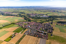 Bird's eye view of View of the town from the south in Steinweiler in the state Rhineland-Palatinate, Germany