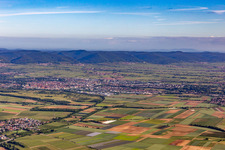 District Queichheim in Landau in der Pfalz in the state Rhineland-Palatinate, Germany from the plane