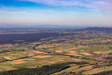 Southern Palatinate Panorama Viestrich and Bienwald in Freckenfeld in the state Rhineland-Palatinate, Germany