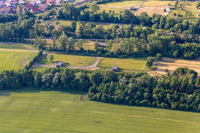 Mhou Ostrich Farm in Rülzheim in the state Rhineland-Palatinate, Germany