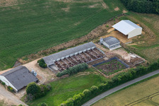Aerial view of Cournon pig farm with free range in Saint-Michel-de-Chavaignes in the state Sarthe, France
