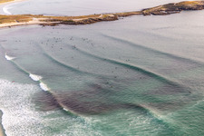 Wave surfers in front of Plage la Torche-Tronoën in Saint-Jean-Trolimon in the state Finistere, France