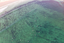 Aerial photograpy of Surfers waiting for the wave in front of the Plage la Torche-Tronoën in Plomeur in the state Finistere, France