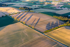 Field at Geiselhöring in the district Greißing in Geiselhöring in the state Bavaria, Germany
