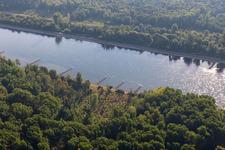Dry groynes in the Rhine at low water in Leimersheim in the state Rhineland-Palatinate, Germany