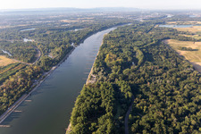 Aerial view of Dry groynes in the Rhine at low water in Leimersheim in the state Rhineland-Palatinate, Germany