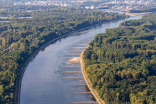 Dry groynes and sandbanks in the Rhine due to low water in Neupotz in the state Rhineland-Palatinate, Germany