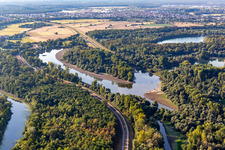 Old Rhine at low water in the district Leopoldshafen in Eggenstein-Leopoldshafen in the state Baden-Wuerttemberg, Germany