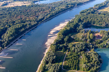 Dry groynes and sandbanks in the Rhine due to low water in Neuburg am Rhein in the state Rhineland-Palatinate, Germany