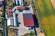 Drone recording of Kugelmann organic farm in Kandel in the state Rhineland-Palatinate, Germany