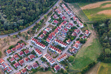 In the beak in Wörth am Rhein in the state Rhineland-Palatinate, Germany
