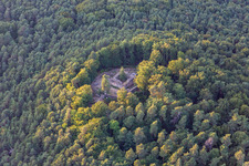 Waldschlössel in Klingenmünster in the state Rhineland-Palatinate, Germany