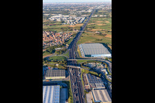 Cartonstrong srl in Grezzago in the state Lombardy, Italy