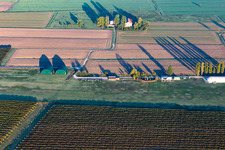 AVIOSUPERFICIE CASTELLAZZO scuola volo a vela in Reggio nell’Emilia in the state Reggio Emilia, Italy