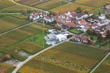 Wine shop Weingut Sauer in Nußdorf in the district Nußdorf in Landau in der Pfalz in the state Rhineland-Palatinate, Germany